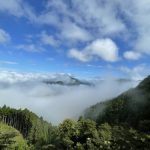 9月も奇跡！雨予報から一転！熊野古道＆玉置神社・龍神の棲家瀞峡ツアーはミラクル☆パワフルにて終了しました
