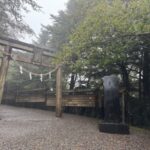 玉置神社の例大祭に行ってきました！